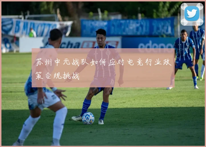 苏州中元战队如何应对电竞行业政策合规挑战