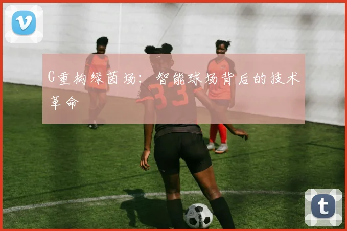 G重构绿茵场：智能球场背后的技术革命