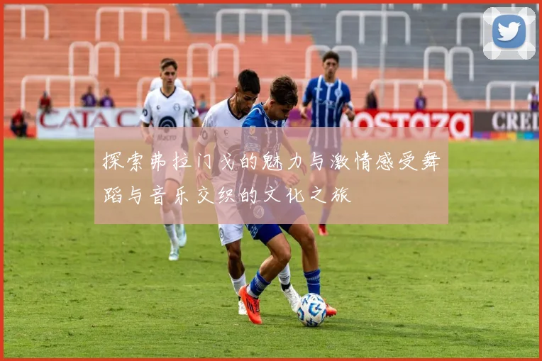 探索弗拉门戈的魅力与激情感受舞蹈与音乐交织的文化之旅