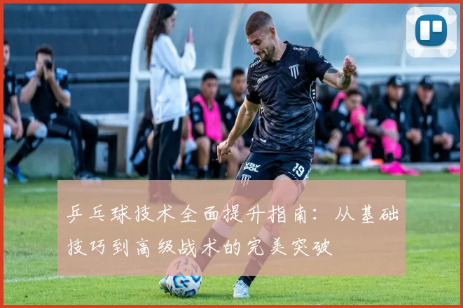 乒乓球技术全面提升指南：从基础技巧到高级战术的完美突破