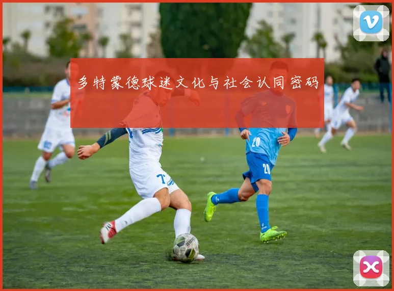 多特蒙德球迷文化与社会认同密码
